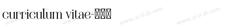curriculum vitae字体转换